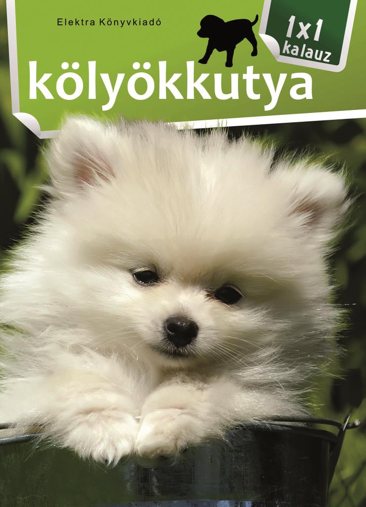 A kölyökkutya