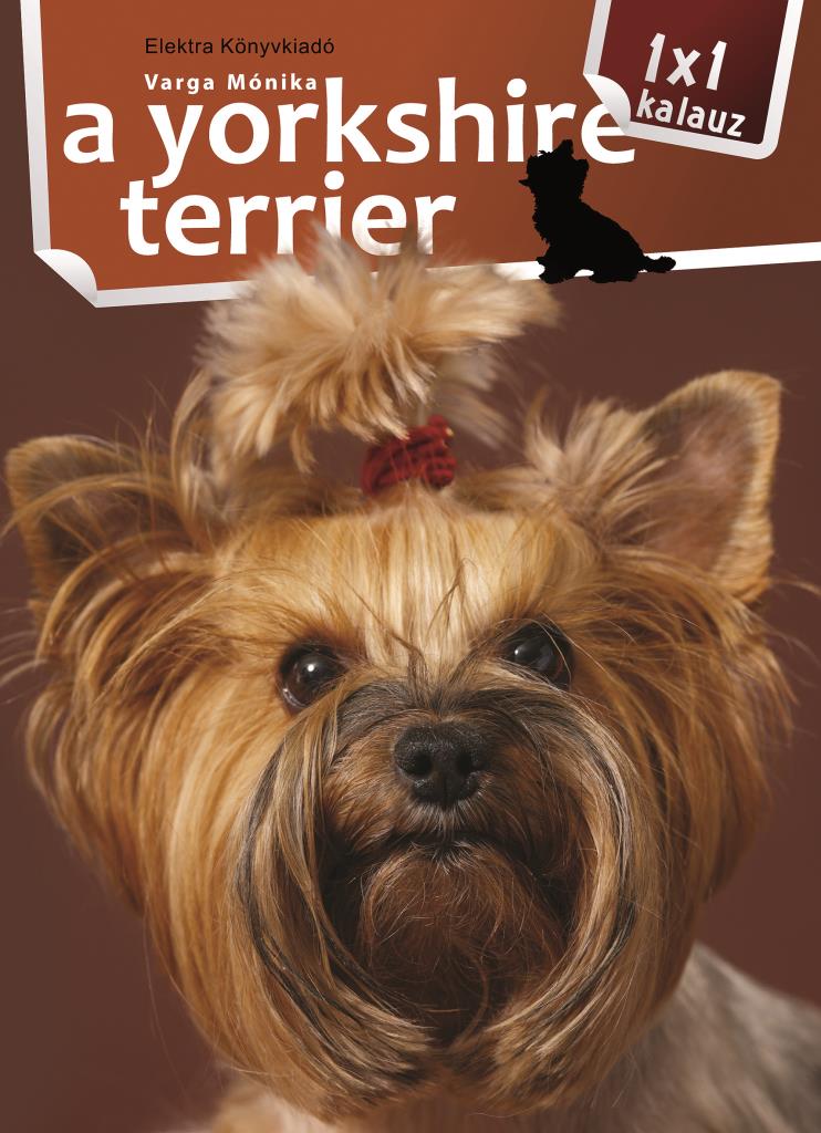 A yorkshire terrier