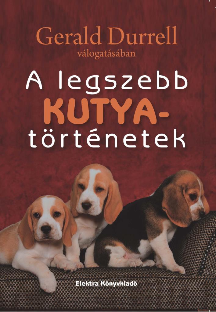 Legszebb kutyatörténetek