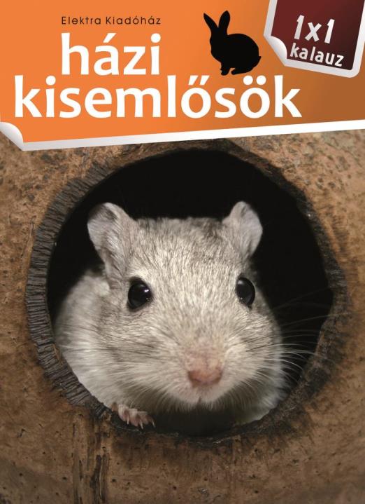 Házi kisemlősök