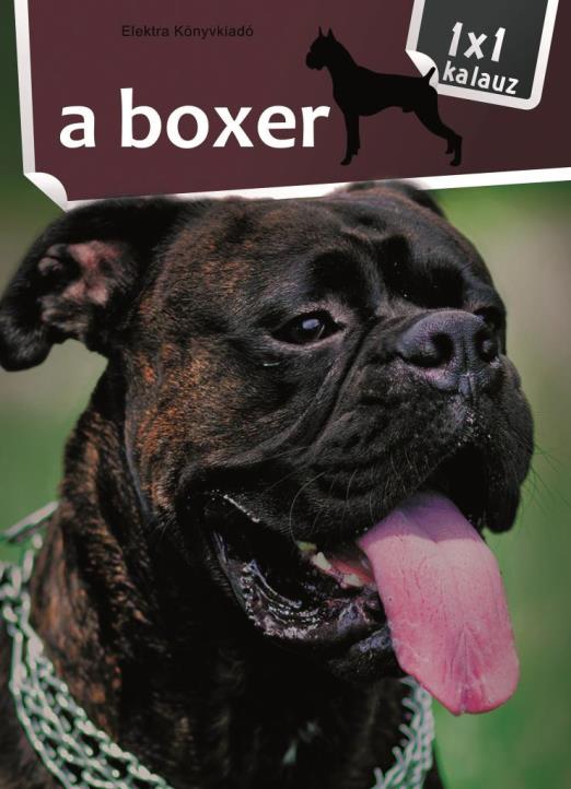 A boxer