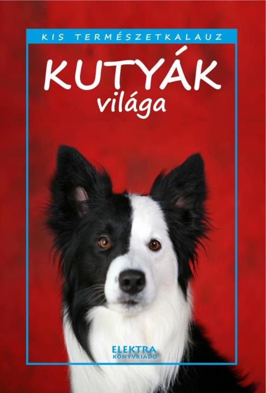 Kutyák világa