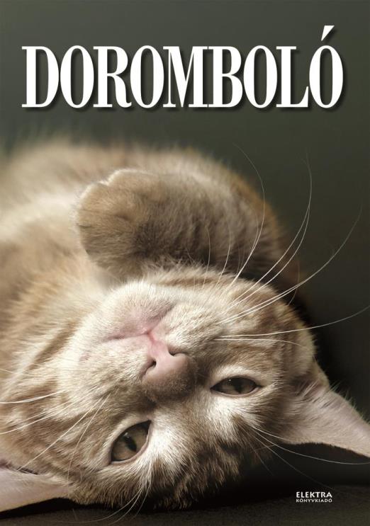 Doromboló