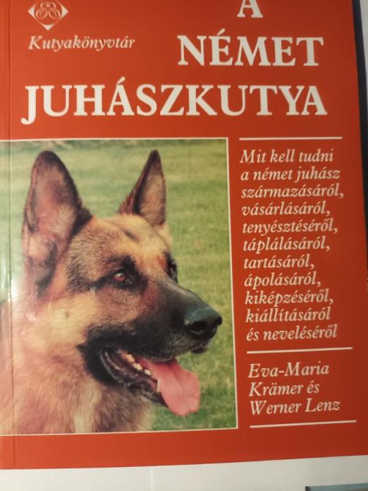 A német juhászkutya