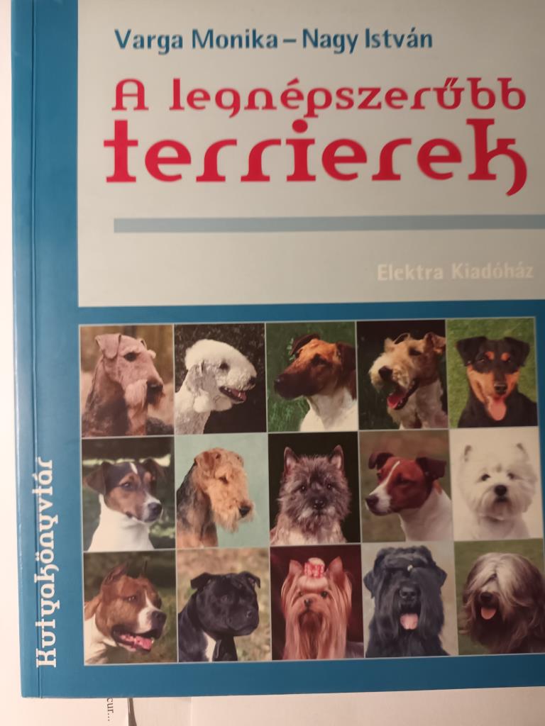 A legnépszerűbb terrierek