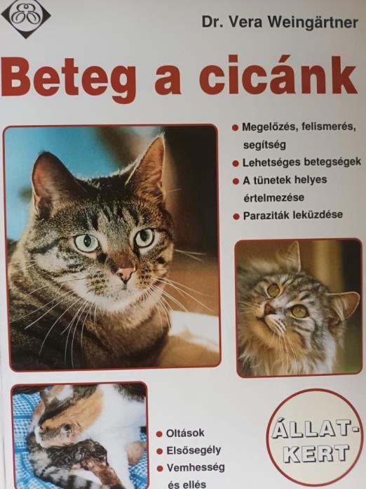 Beteg a cicánk