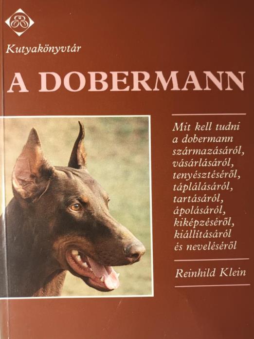 A dobermann