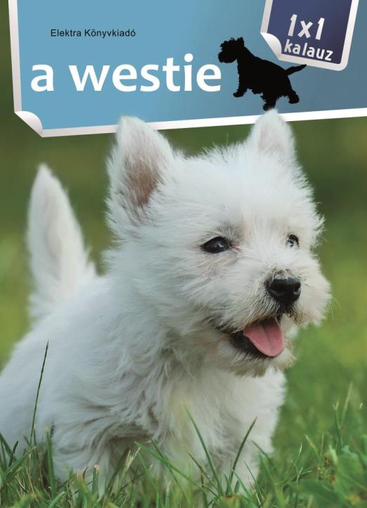 A westie