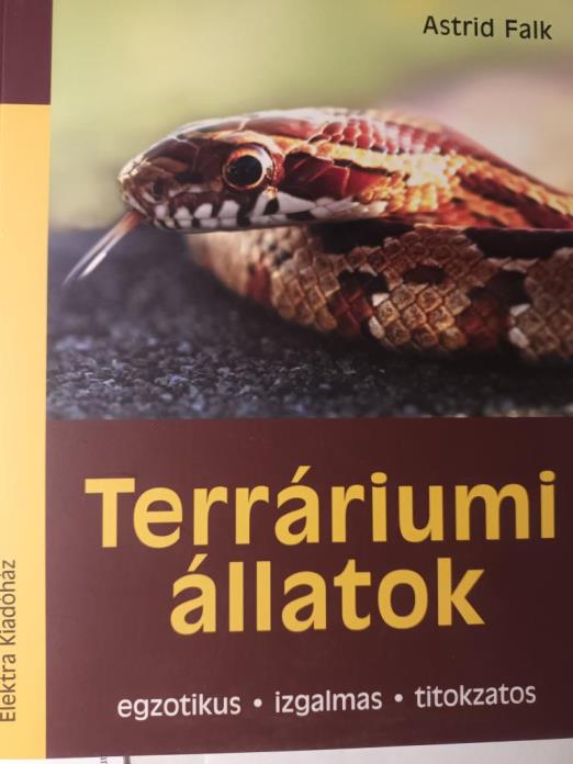 Terráriumi állatok