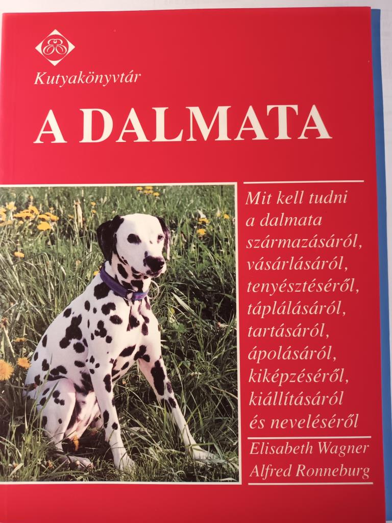 A dalmata